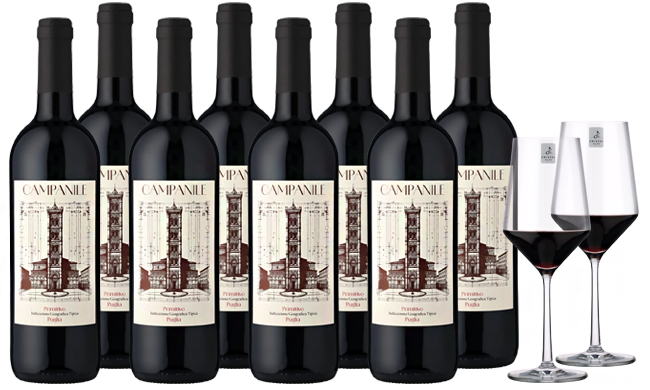 Club of Wine Campanile Primitivo