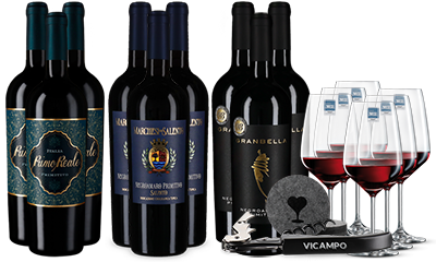 Vicampo Primitivo Trio