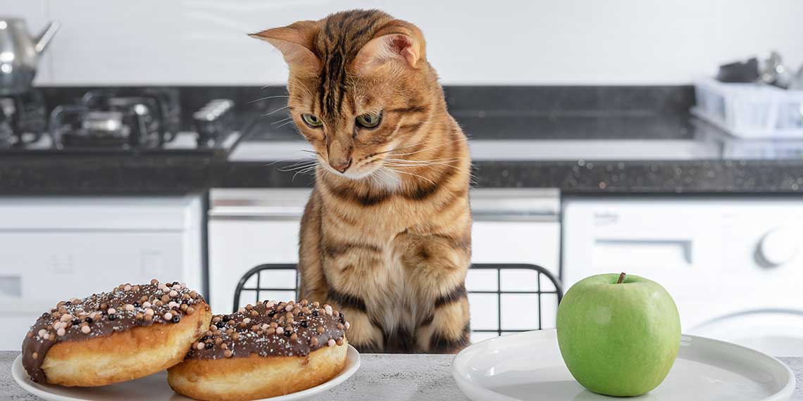 Katze am Tisch zwischen Donuts und Äpfeln