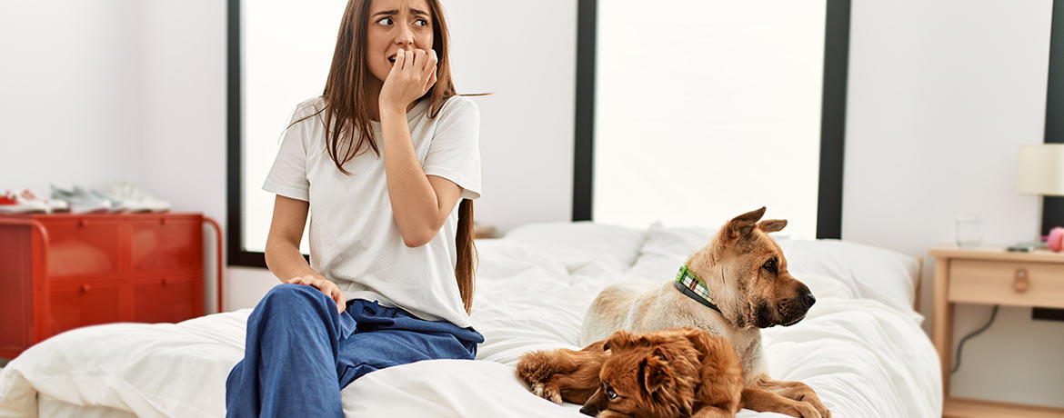 Eine Frau sitzt mit 2 Hunden auf einem Bett