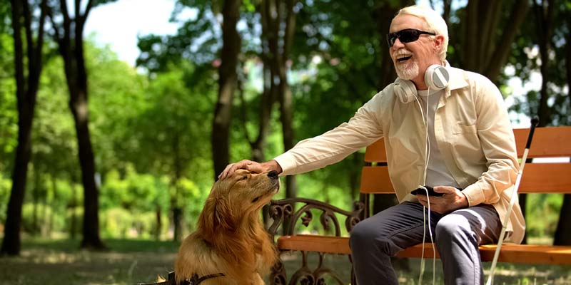 Mann mit Blindenhund im Park