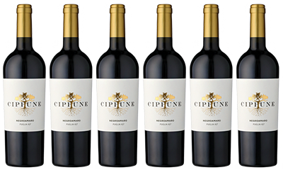 Club of Wine Cippune Negroamaro