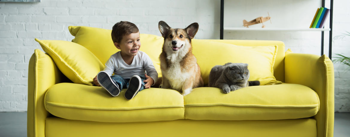 Kleiner Junge sitzt mit Hund und Katze auf gelber Couch und freut sich