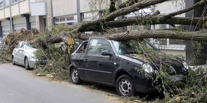 Ein Baum ist beim Sturm auf mehrere Autos gestürzt
