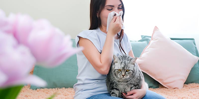 Frau mit Katze hält sich ein Taschentuch vor die Nase