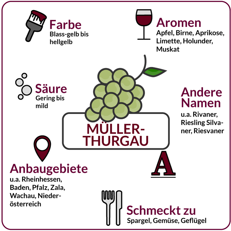 Farbe, Aromen, Säure, Anbaugebiete Rebsorte Müller-Thurgau