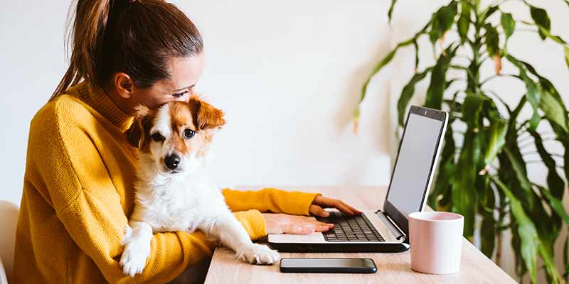 Junge Frau sitzt mit Hund am Laptop