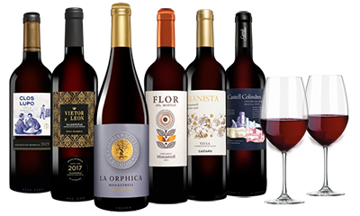 Rotwein-Paket von Flaschen Vinos 6 