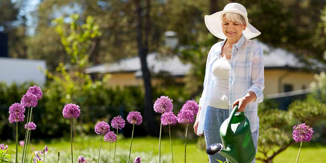 Alte Frau gießt Blumen im Garten
