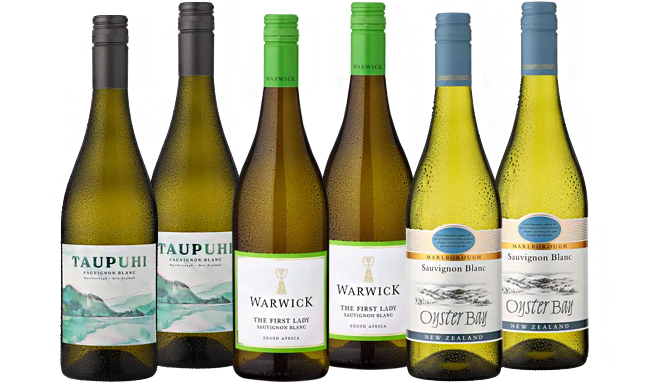 Ludwig von Kapff Probierpaket Sauvignon Blanc