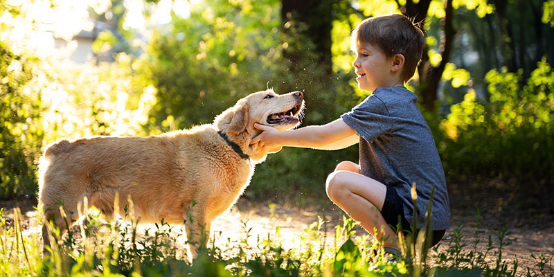 Hund und Kind in der Natur