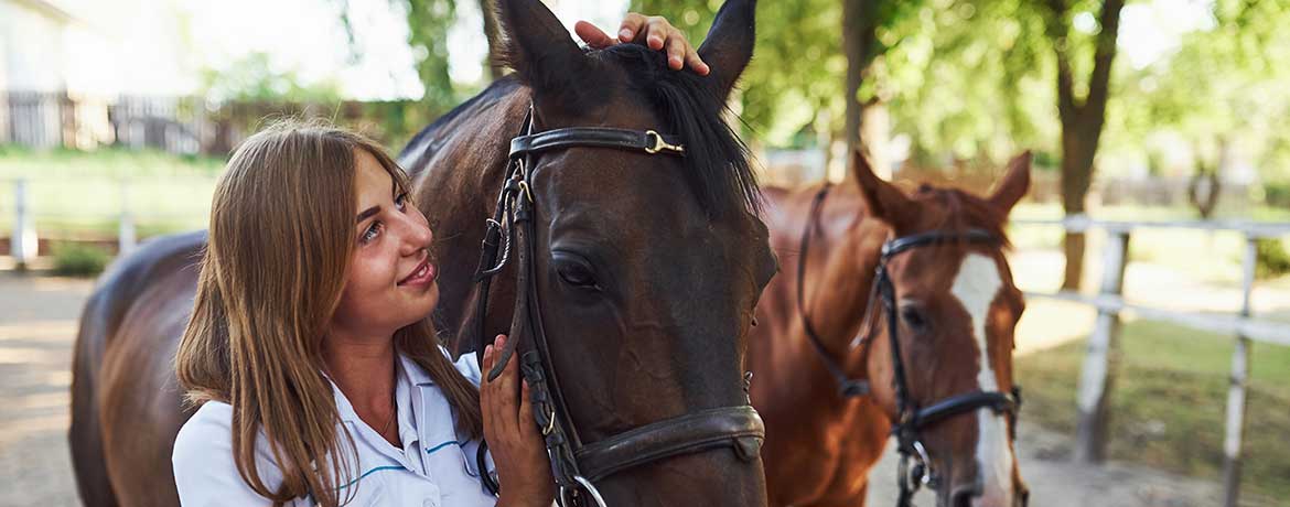 Frau streichelt liebevoll ein Pferd