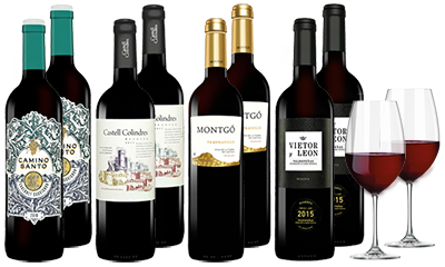 Vinos Rotwein-Genuss-Paket