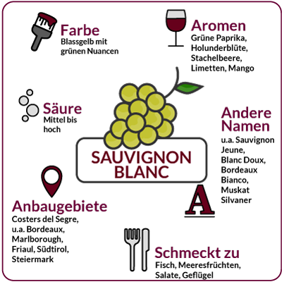 Farbe, Aromen, Säure, Anbaugebiete Rebsorte Sauvignon Blanc