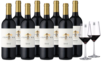 Club of Wine Cippune Primitivo