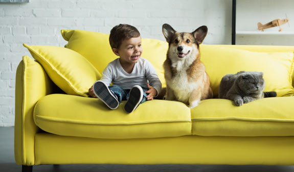 Kleiner Junge sitzt mit Hund und Katze auf gelber Couch und freut sich