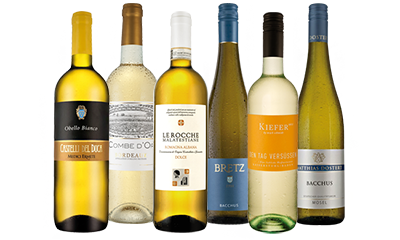 Ebrosia liebliches Weißwein-Paket